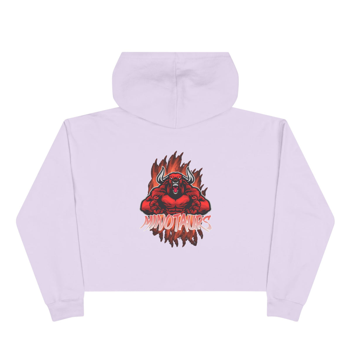 Crop Hoodie