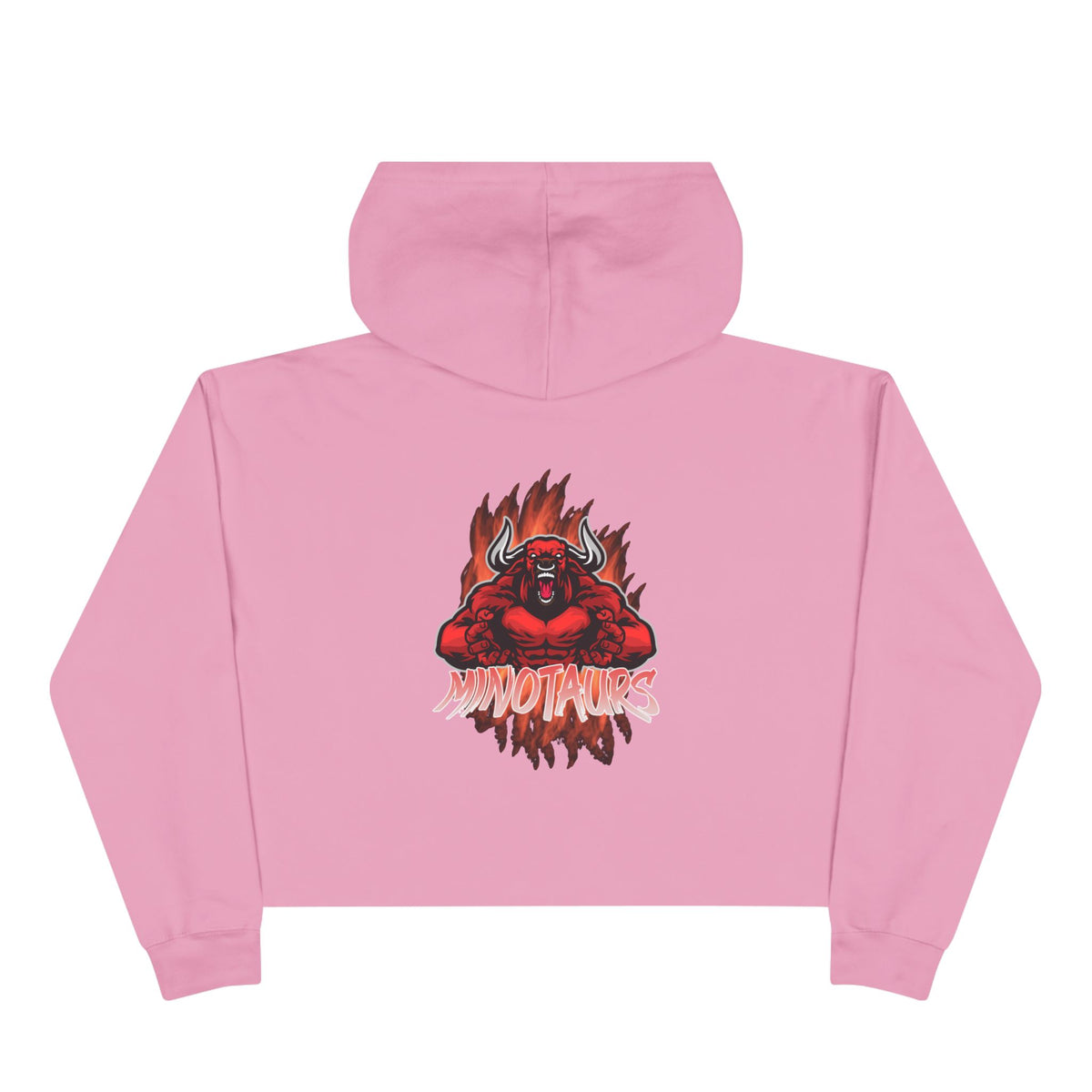 Crop Hoodie